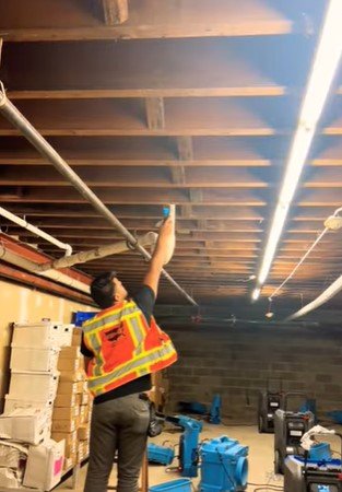 basement water damage near hampton 55031 basement water damage near hampton 55031