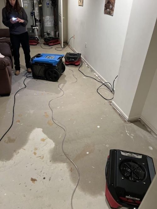 flood damage restoration hastings mn