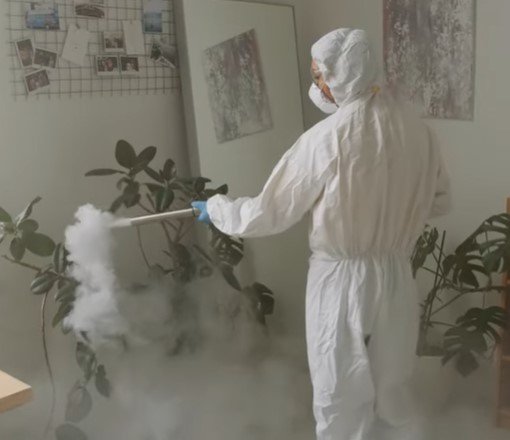 mold remediation hampton mn mold remediation hampton mn