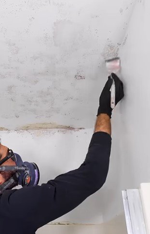 mold removal hampton mn mold removal hampton mn