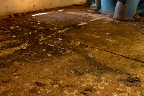 flood damage restoration minneapolis mn